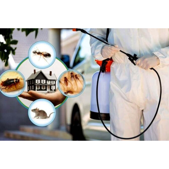 Pest Control